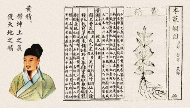 日本腾素真能补肾壮阳？新手必看的功效真相大揭秘优质